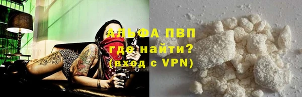 твердый Богданович