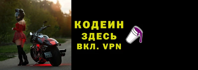 твердый Богданович
