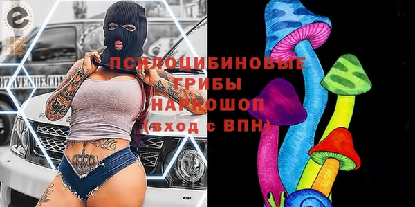твердый Богданович