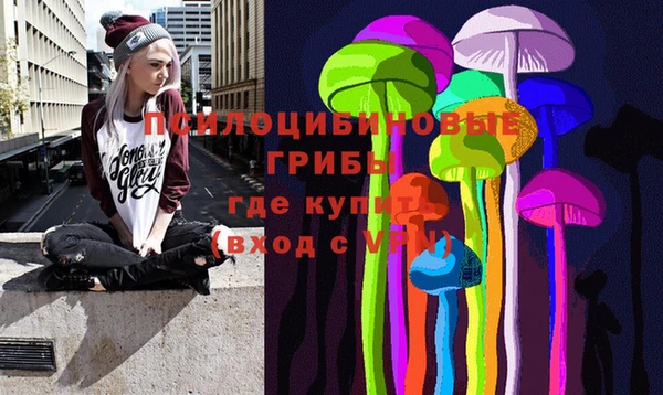 амф Богородск