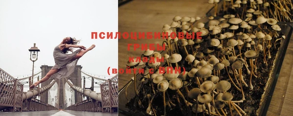 эйфоретик Богородицк