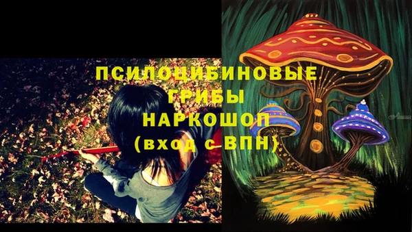 амф Богородск