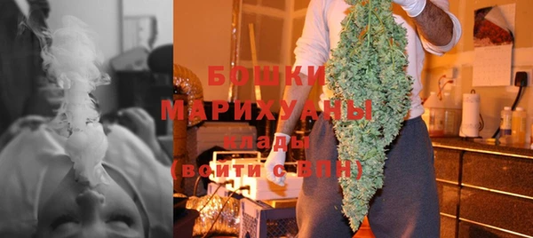 твердый Богданович