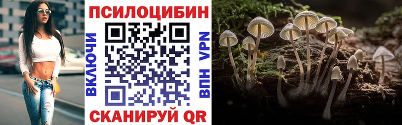 Галлюциногенные грибы Psilocybine cubensis  Котовск 